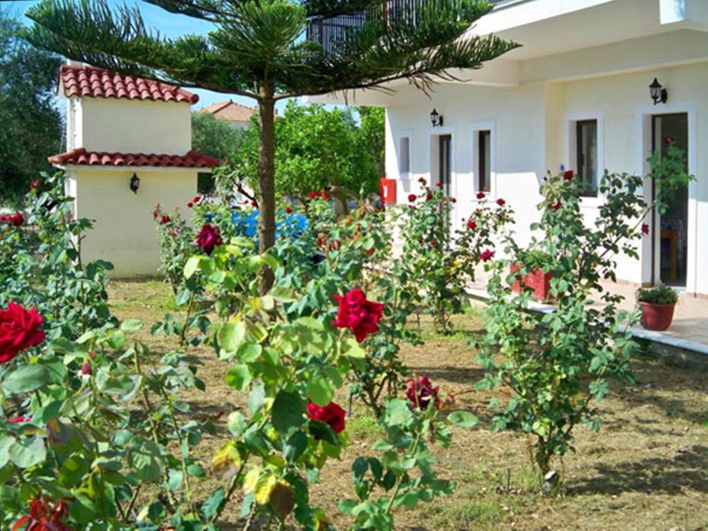 Red Rose Garden Apartment Tsilivi  Exterior photo