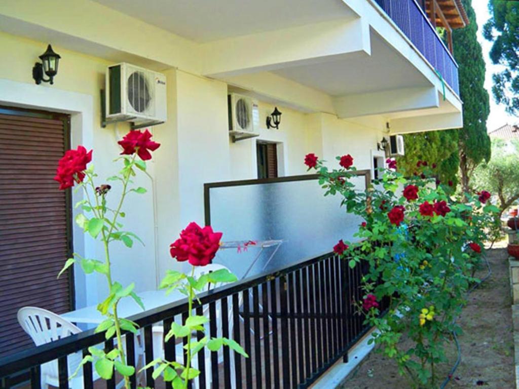 Red Rose Garden Apartment Tsilivi  Exterior photo